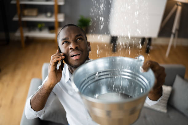 Best Water damage restoration near me  in Harmony, PA