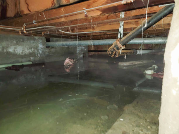 Best 24/7 water damage repair  in Harmony, PA