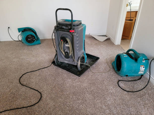 Best Carpet water damage restoration  in Harmony, PA