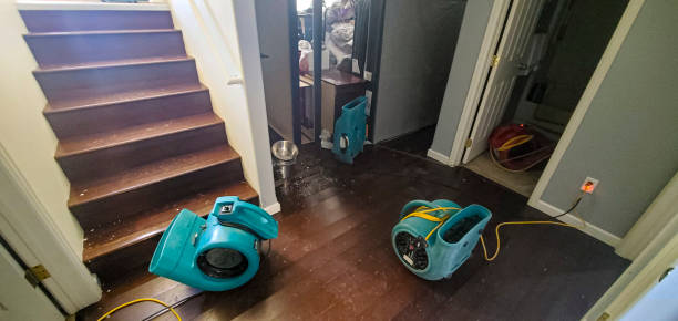 Best Carpet water damage restoration  in Harmony, PA