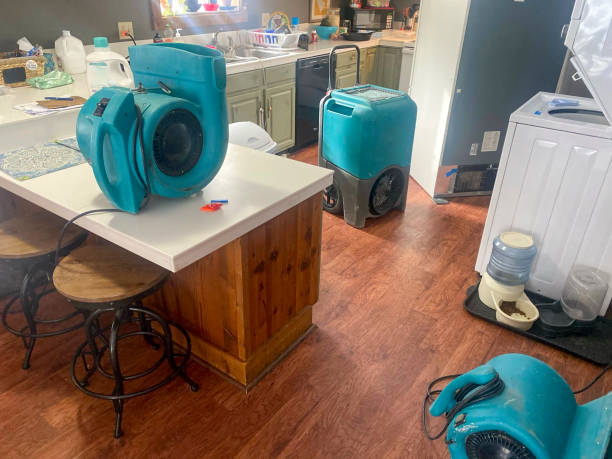 Best Ceiling water damage repair  in Harmony, PA
