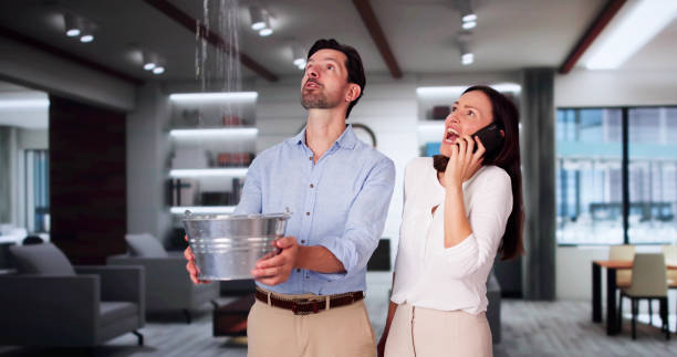 Best Water damage restoration near me  in Harmony, PA