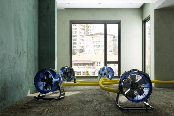 Best Fire Damage Restoration  in Harmony, PA